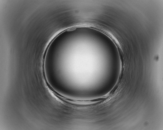 X0000099561484200805161439