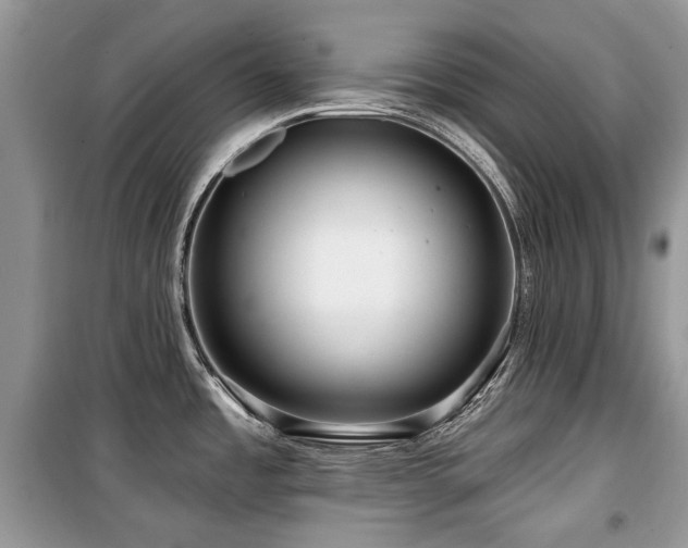 X0000099561485200805161439