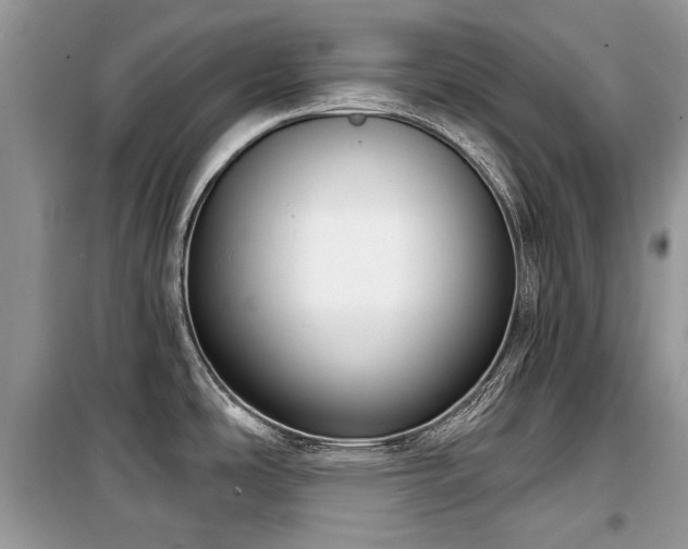 X0000099561486200805161439