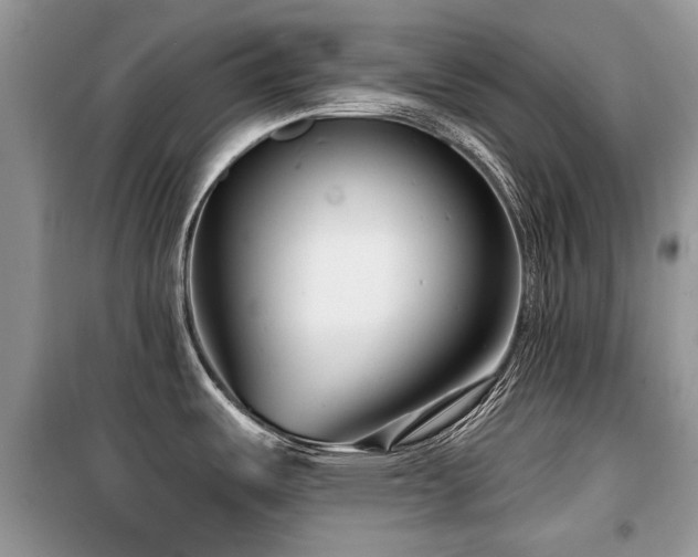X0000099561487200805161439