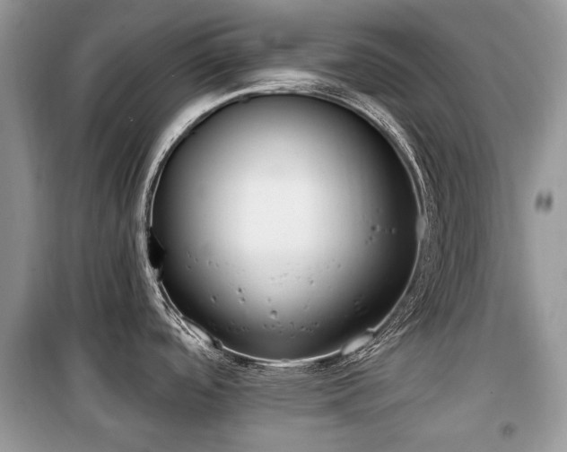 X0000099561488200805161439