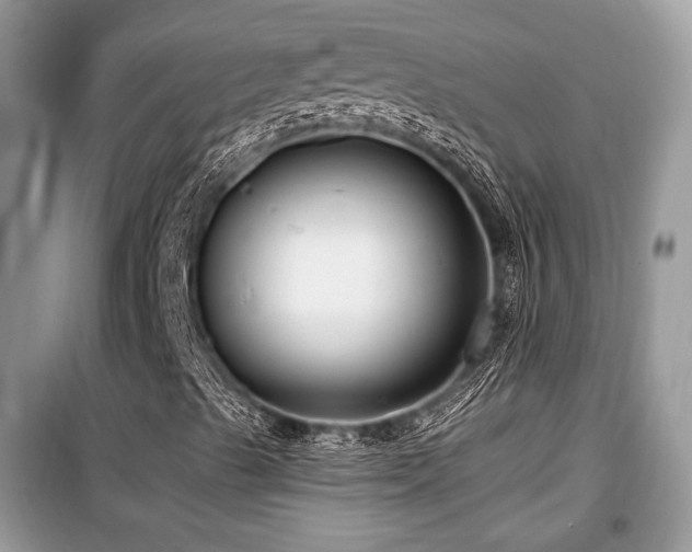 X0000099561489200805161439