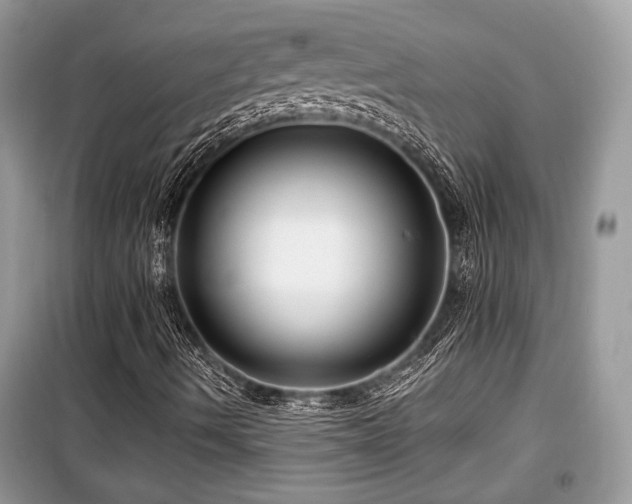 X0000099561490200805161439