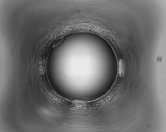 X0000099561491200805161439