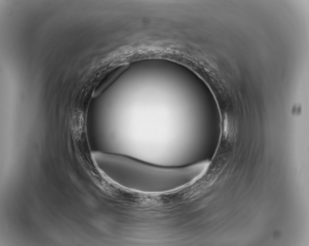 X0000099561492200805161439
