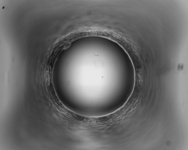 X0000099561493200805161439