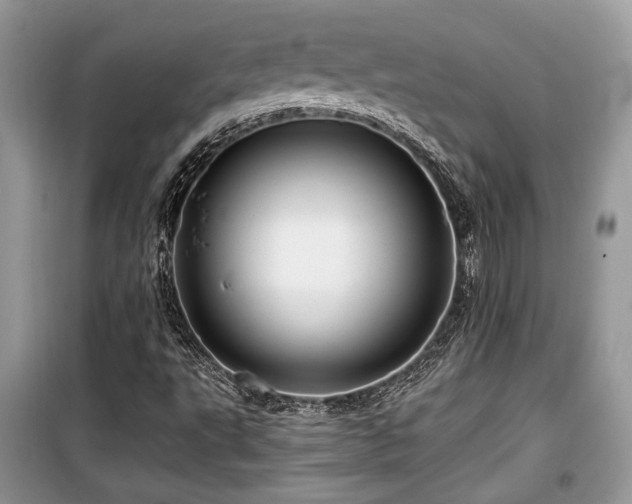 X0000099561495200805161439