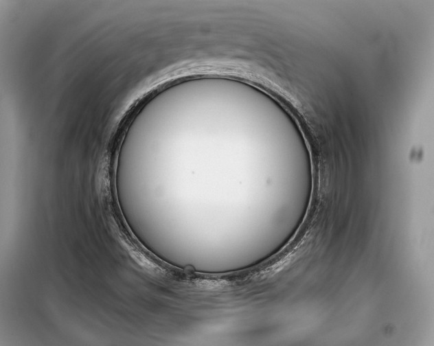 X0000099561498200805161439
