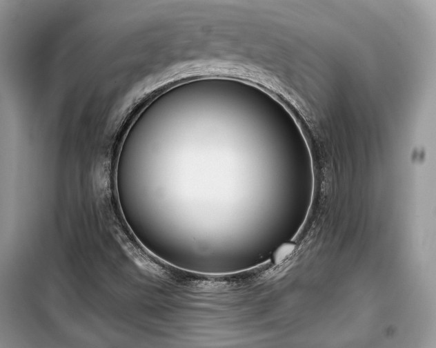 X0000099561499200805161439