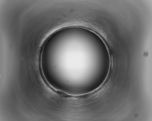 X0000099561500200805161439