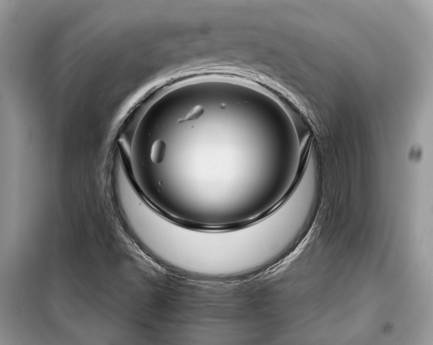 X0000099561502200805161439