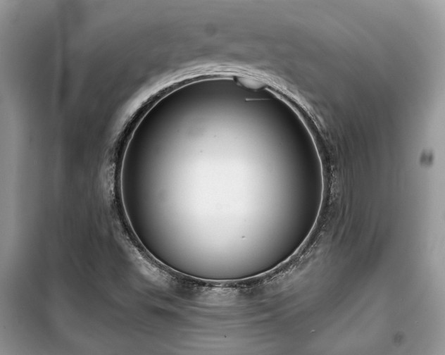 X0000099561503200805161439