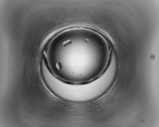 X0000099561504200805161439