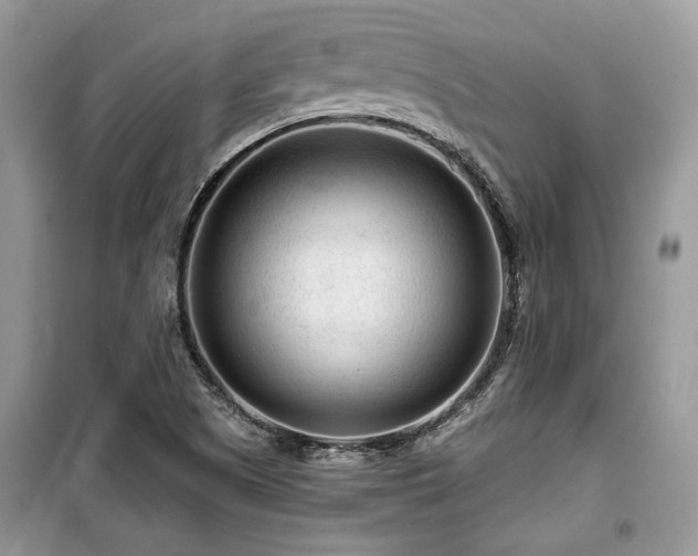 X0000099561505200805161439