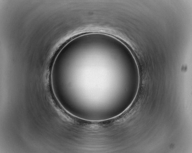X0000099561507200805161439