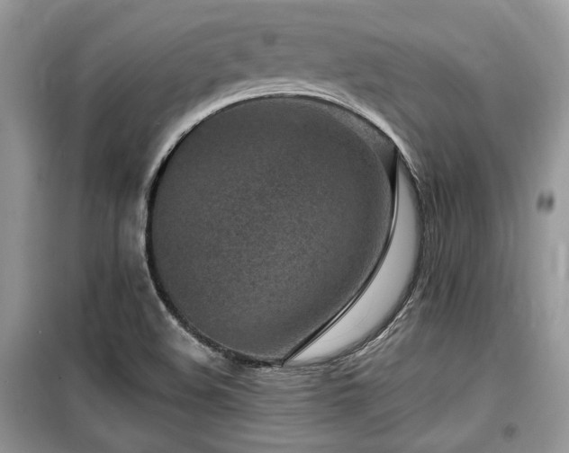 X0000099561508200805161439