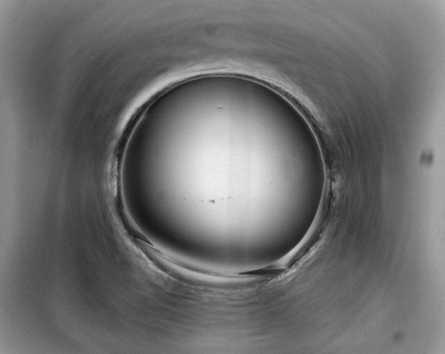 X0000099561510200805161439