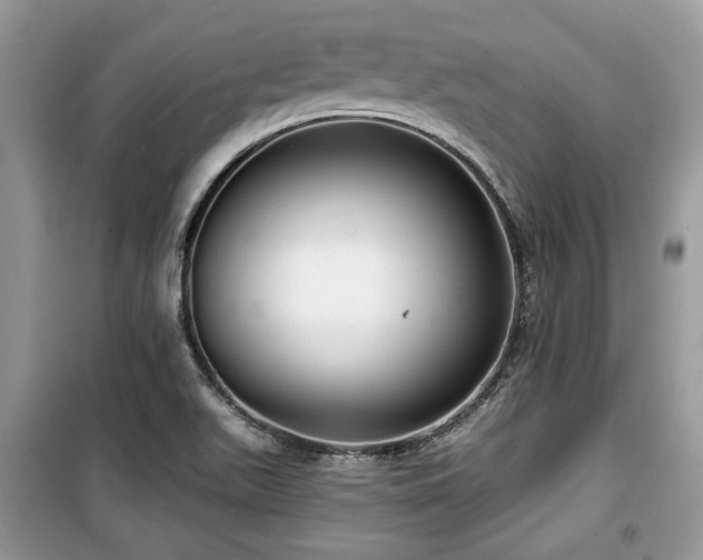 X0000099561511200805161439