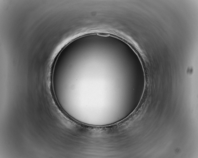 X0000099561512200805161439