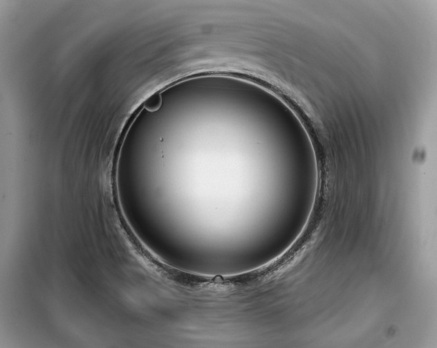 X0000099561513200805161439