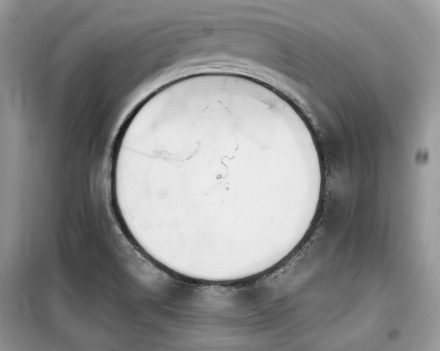 X0000099561514200805161439