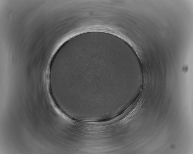 X0000099561515200805161439