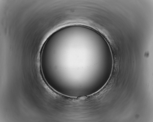 X0000099561516200805161439