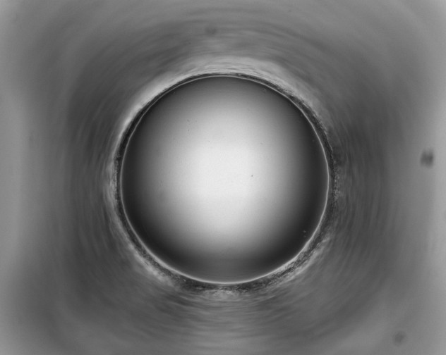 X0000099561517200805161439