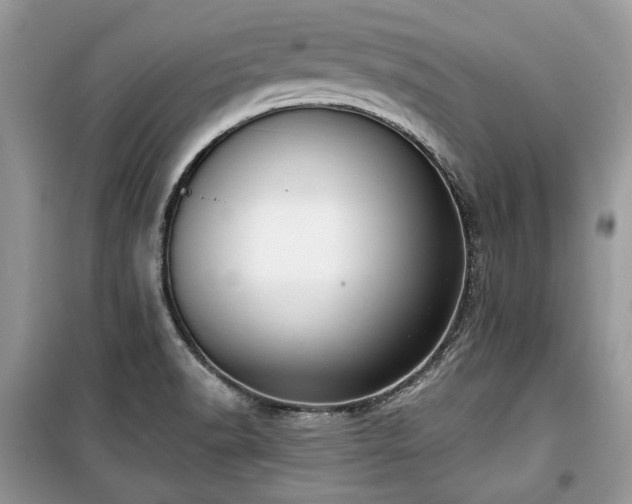 X0000099561518200805161439