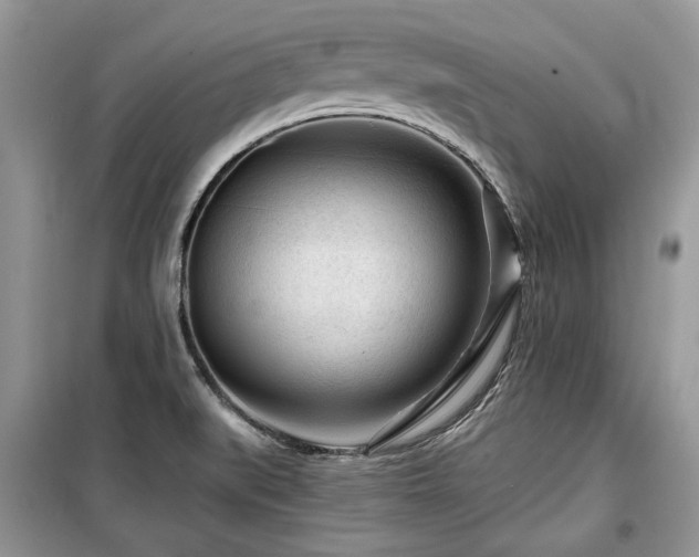 X0000099561519200805161439