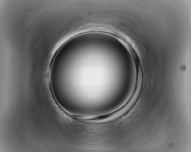 X0000099561520200805161439