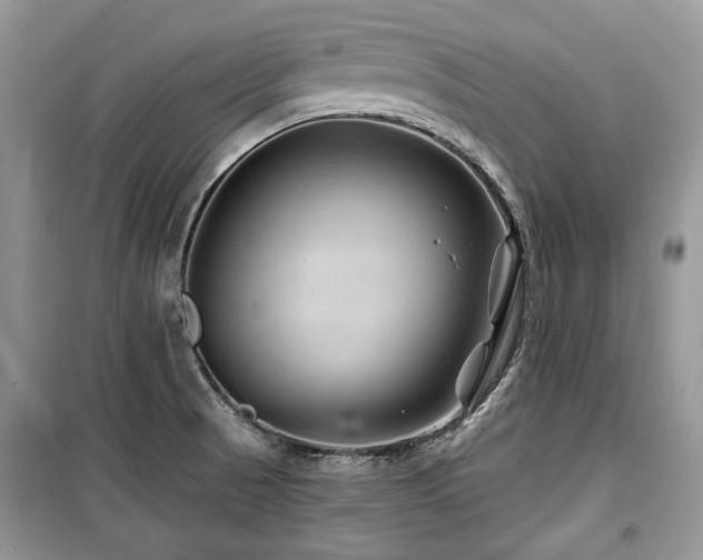 X0000099561521200805161439