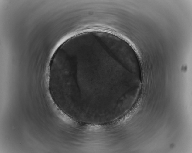 X0000099561522200805161439