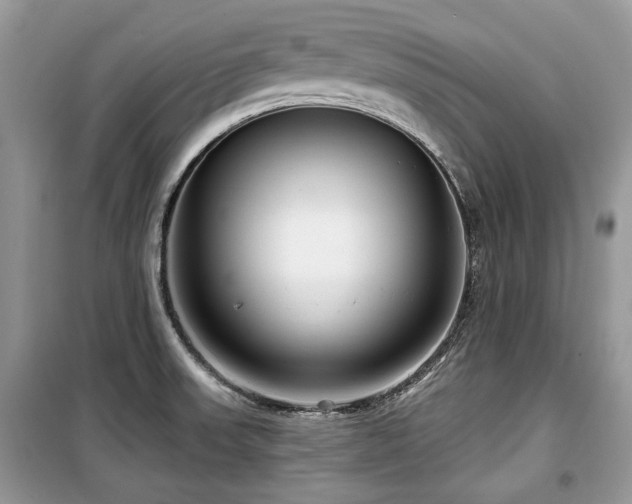 X0000099561523200805161439