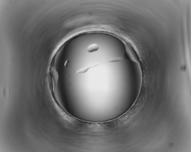 X0000099561524200805161439