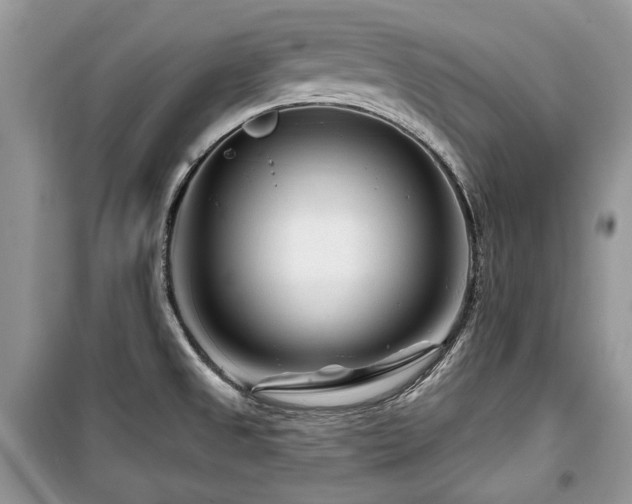 X0000099561525200805161439