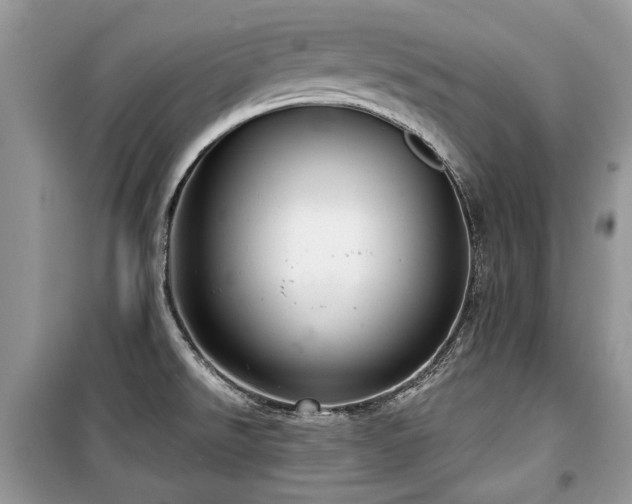 X0000099561526200805161439