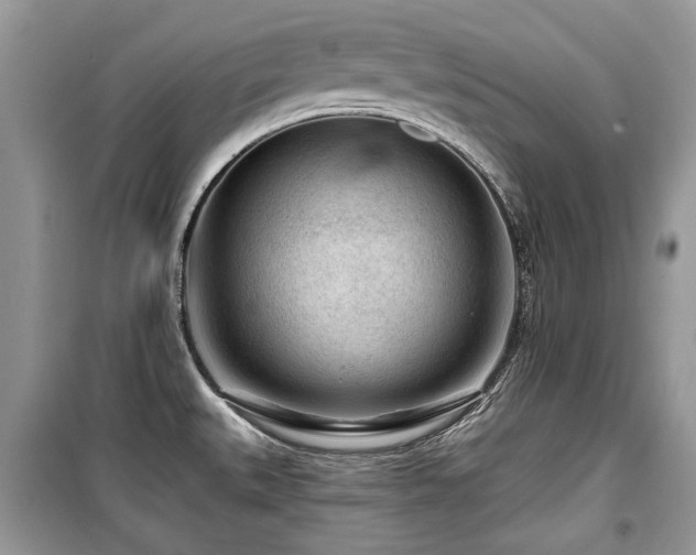 X0000099561527200805161439