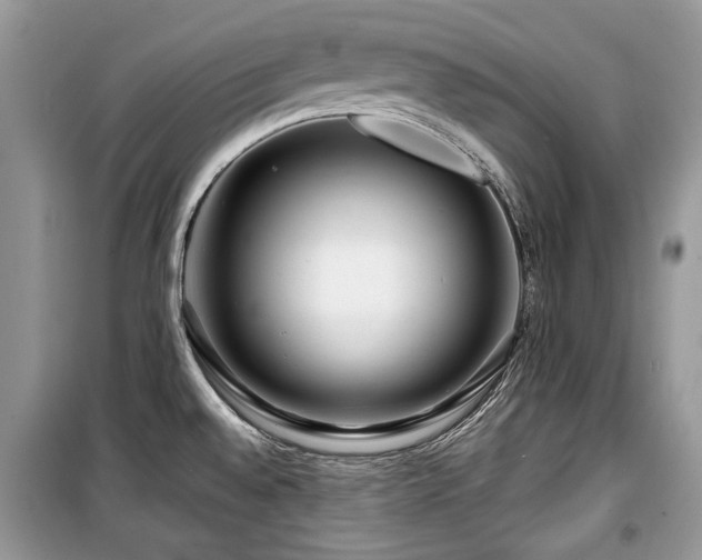 X0000099561528200805161439