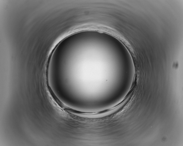 X0000099561530200805161439