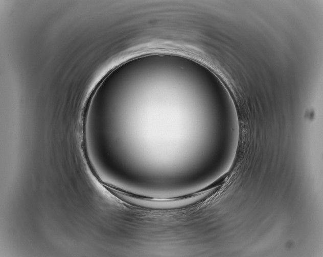 X0000099561531200805161439