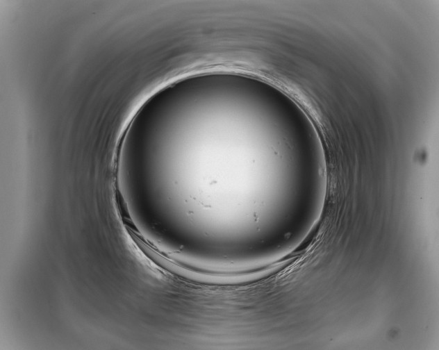 X0000099561532200805161439