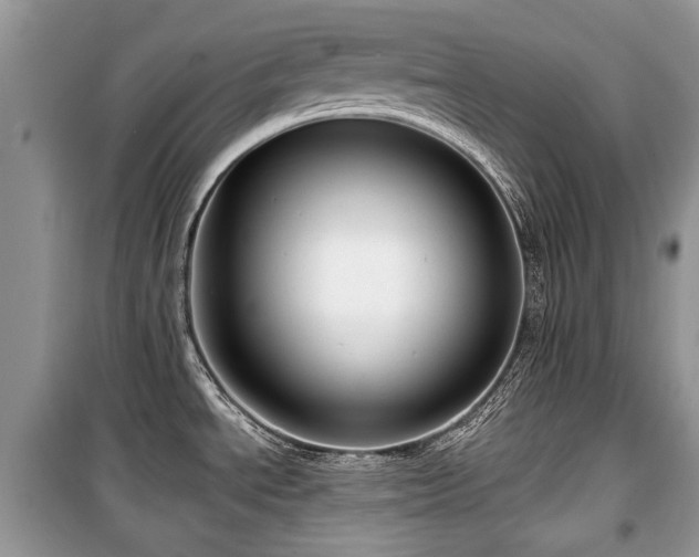 X0000099561534200805161439