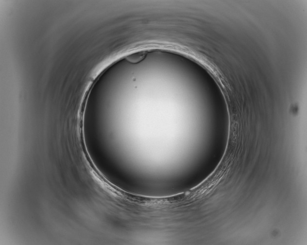 X0000099561535200805161439