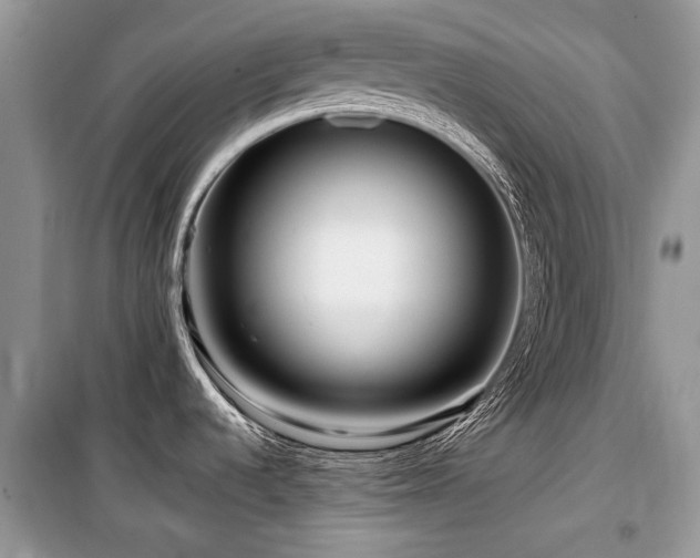 X0000099561536200805161439