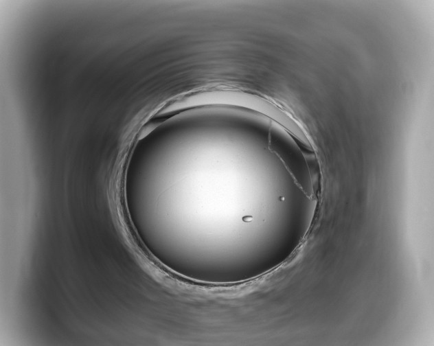 X0000099560001200805231521