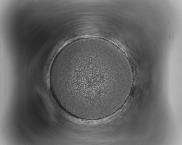 X0000099560002200805231521