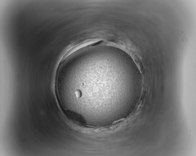 X0000099560003200805231521