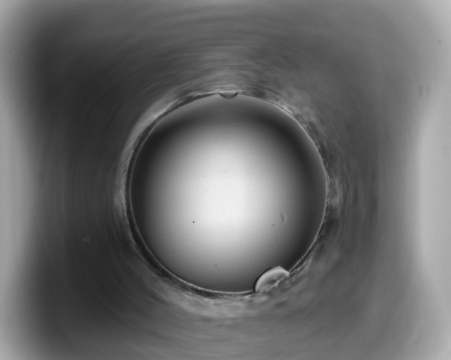 X0000099560004200805231521