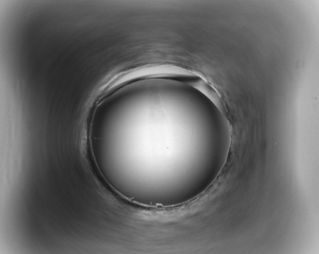 X0000099560005200805231521